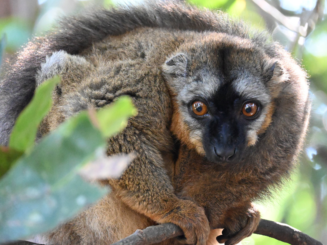 Tsaraventura Madagascar Tour Operator景点图片