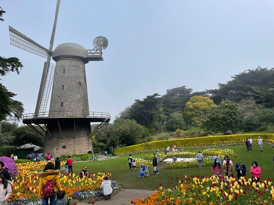 迪瑞斯科酒店主图