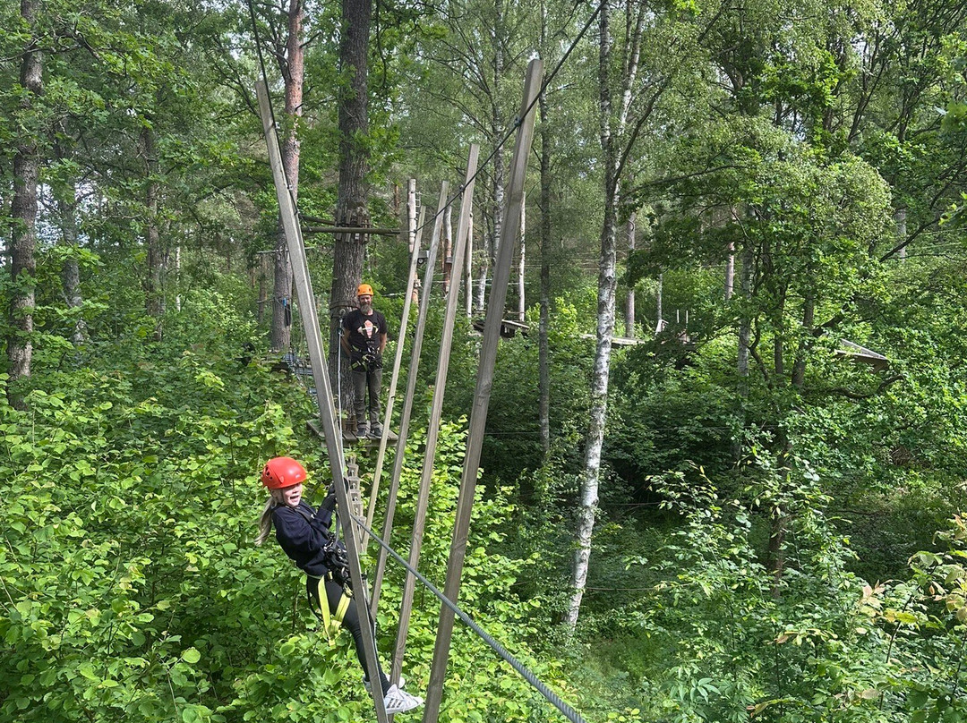 Multilevel Ziplines & Klätterpark-Hassleholm必去景点