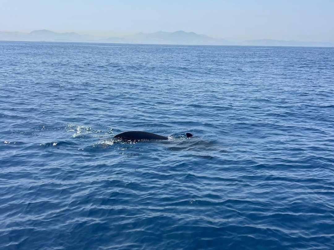 Turmares Tarifa-塔里法必去景点