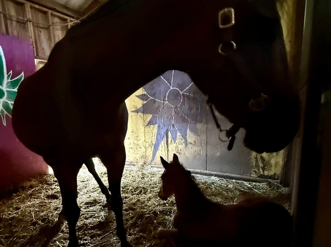 Corbett Farm-波特兰必去景点