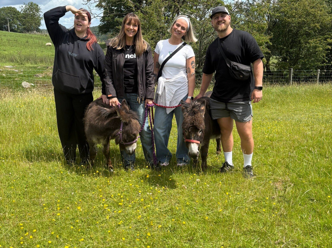 Moel Famau Donkeys-Llanferres必去景点