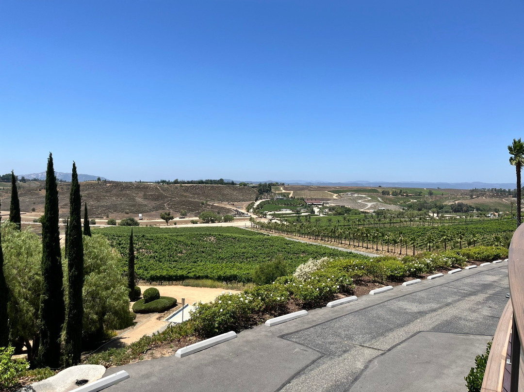 Falkner Winery-特曼库拉必去景点