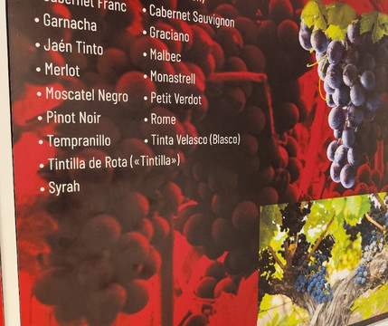 Antigua Bodega La Sangre-隆达必去景点