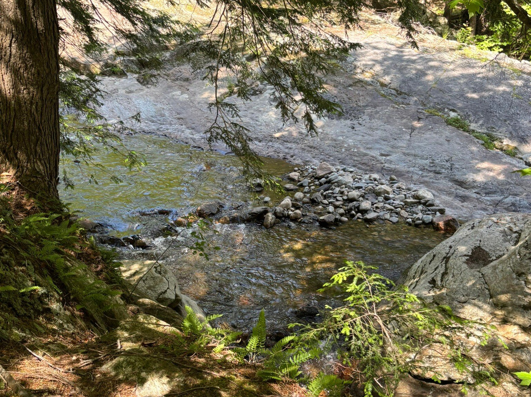 Buttermilk Falls-Ludlow必去景点