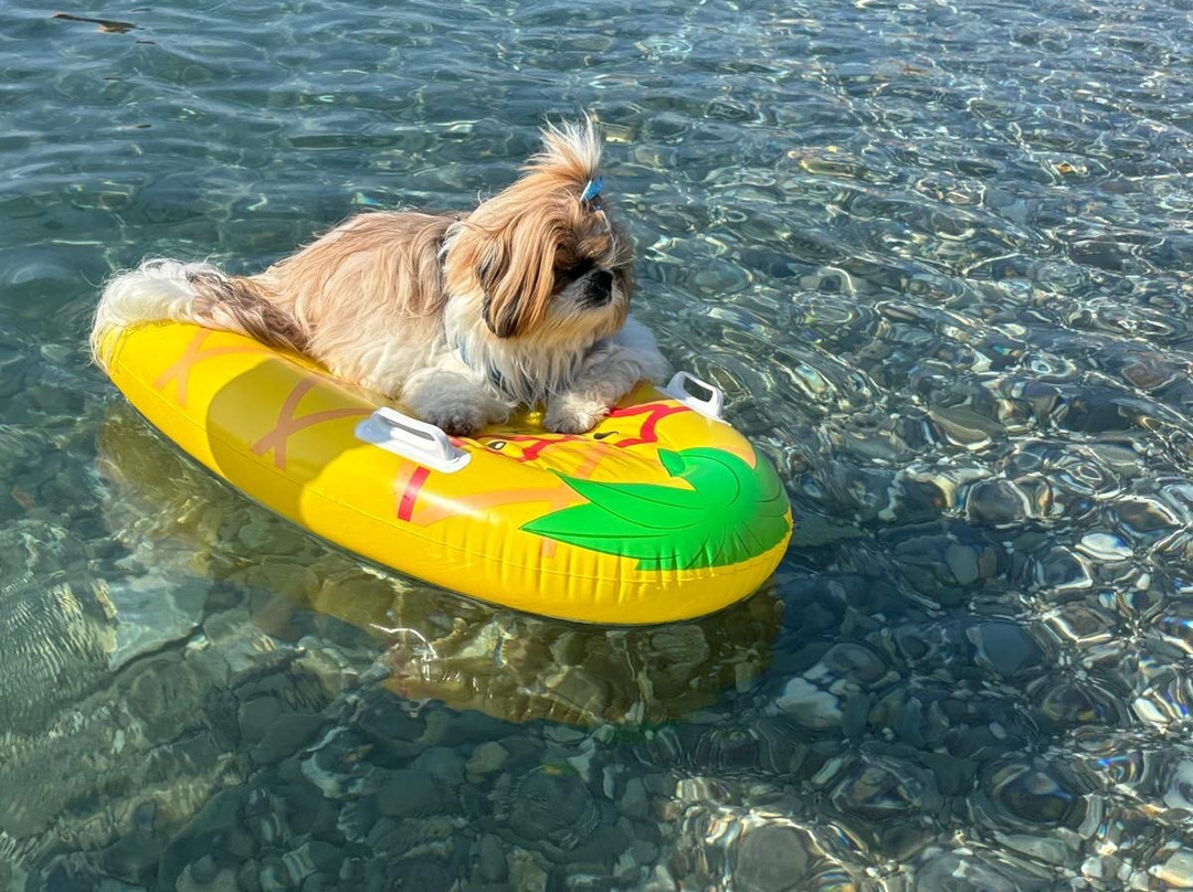 La Spiaggia Di Pippo