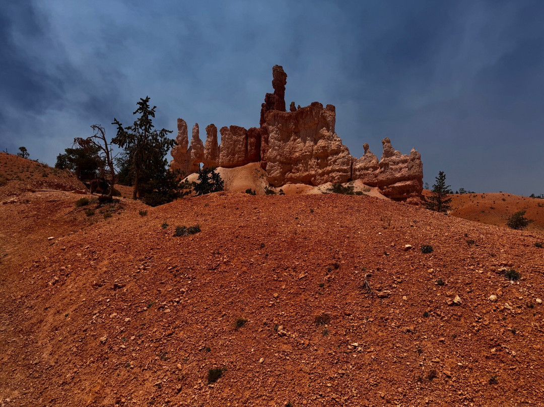 Red Canyon Trail Rides-布莱斯峡谷国家公园必去景点