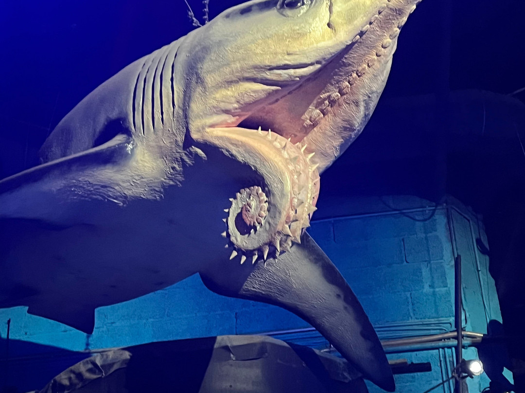 SEA LIFE Helsinki-赫尔辛基必去景点