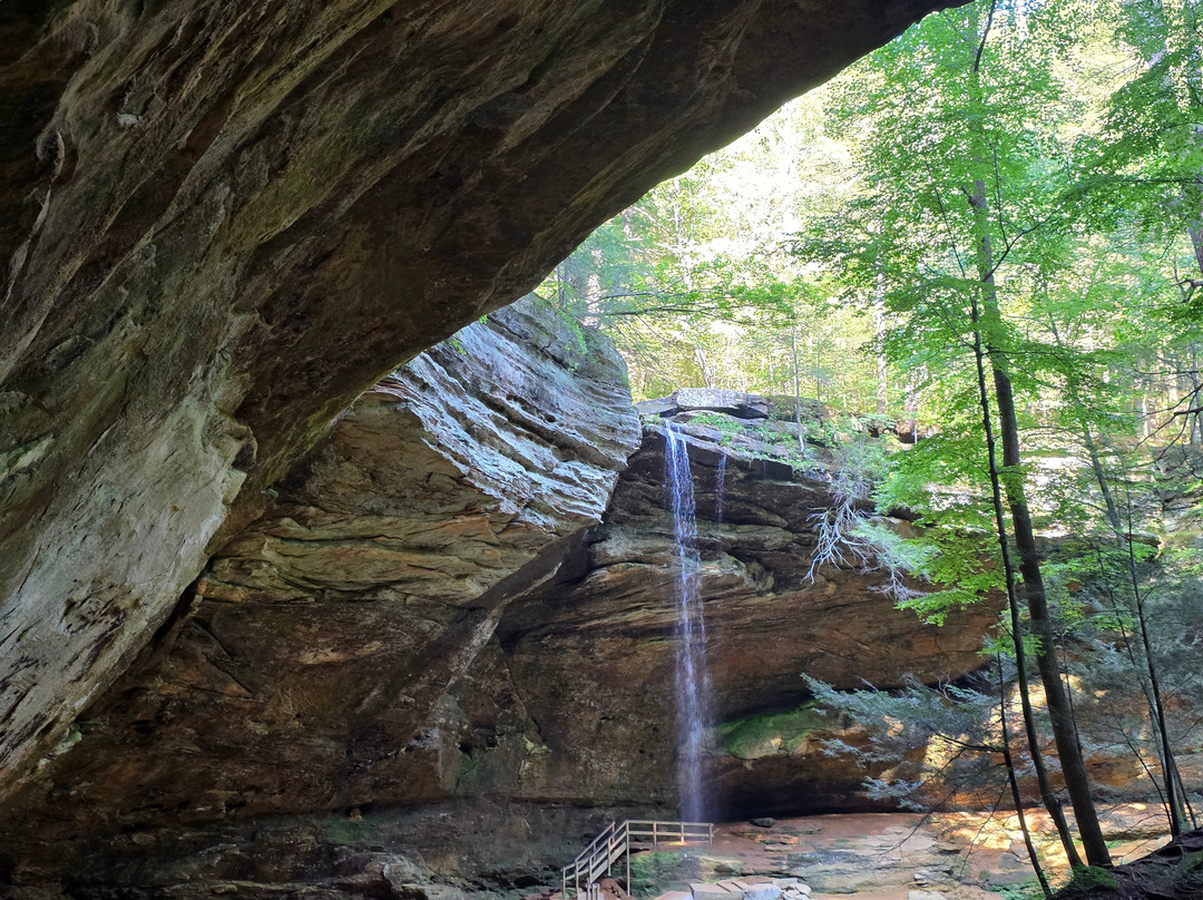 The Ghost Patrol-New Plymouth必去景点