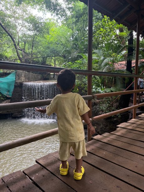 Hidden Village-官方