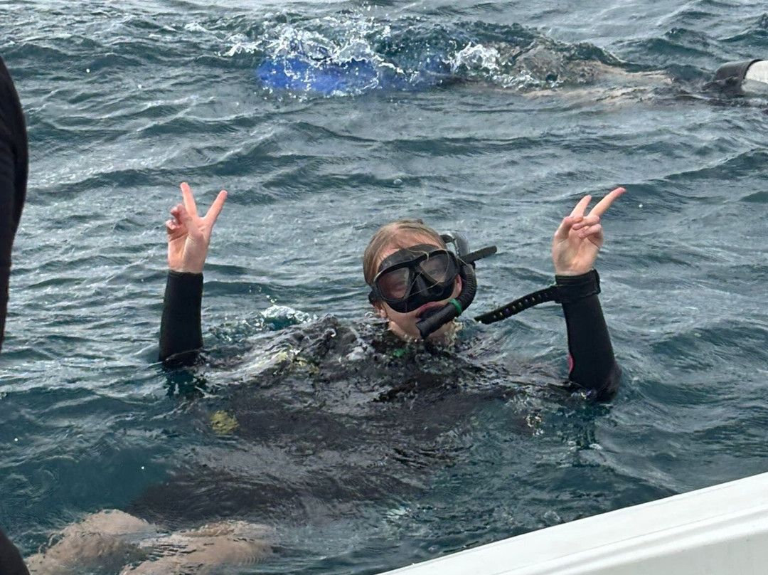 Big Blue Scuba Diving-维拉港必去景点