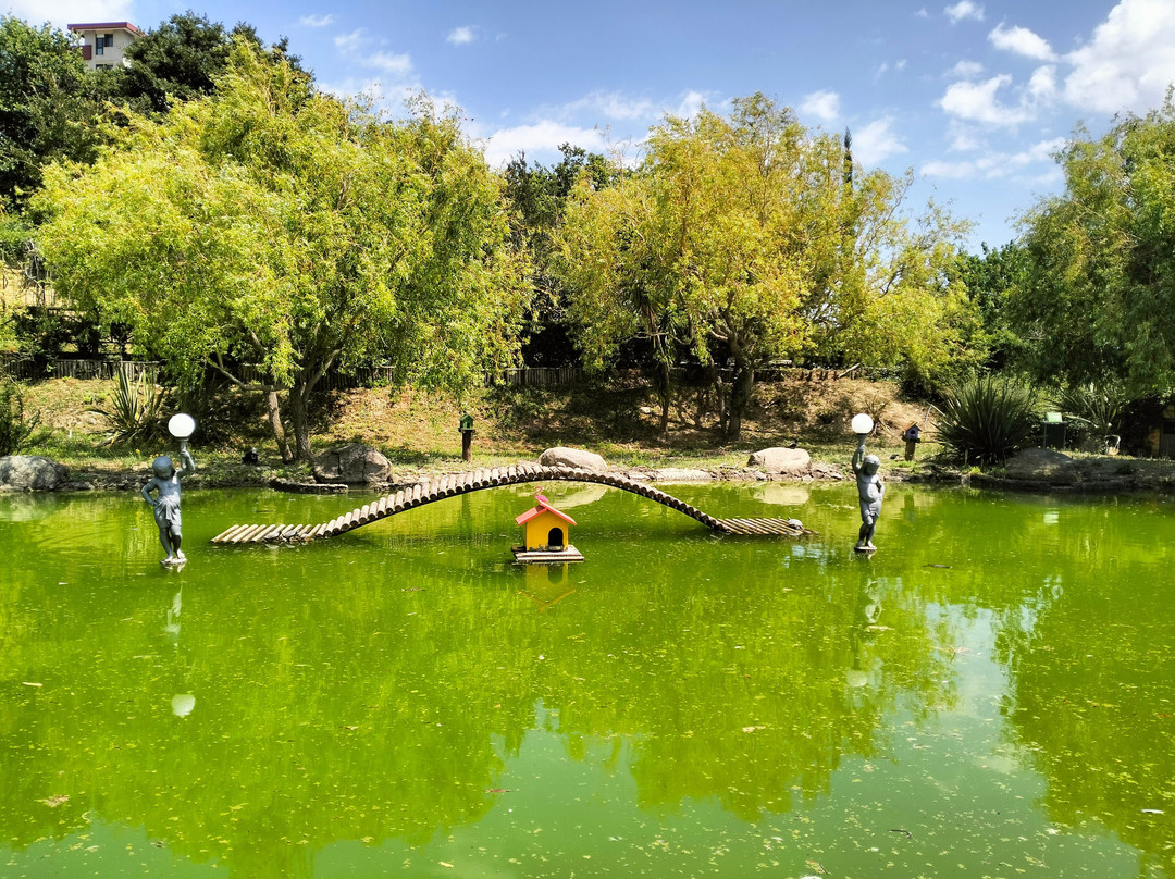 Parco della Biodiversita Mediterranea-卡坦扎罗必去景点