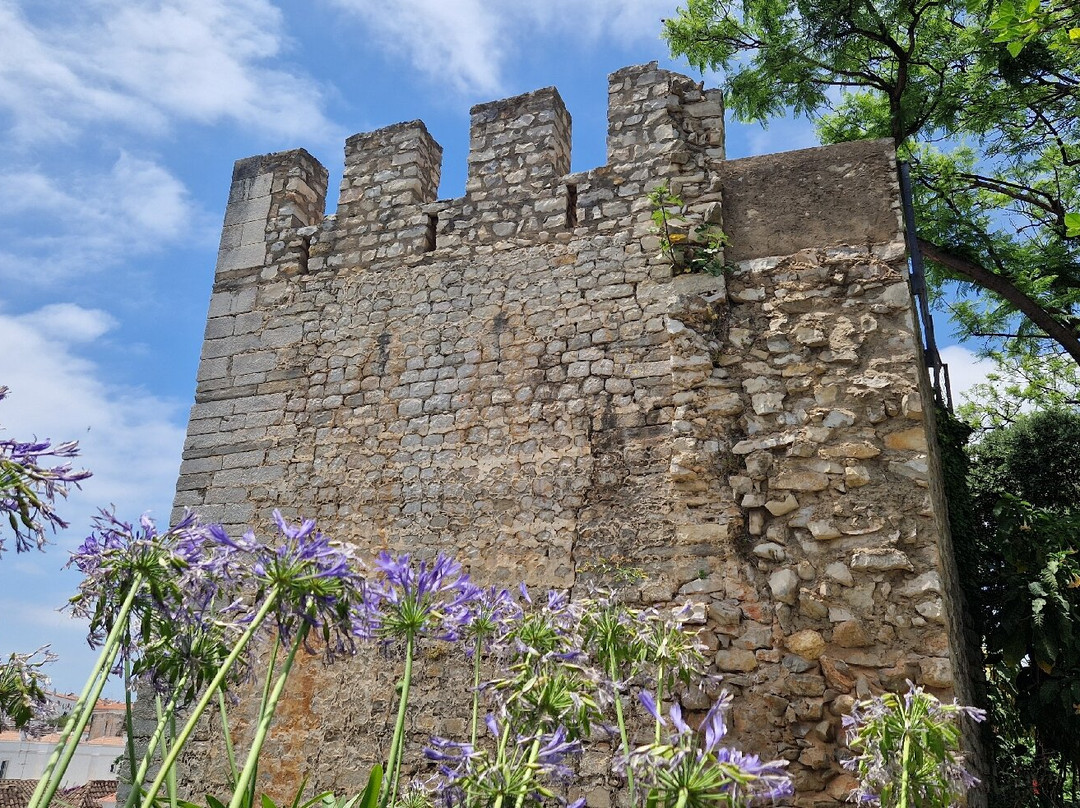 Maria's Tuk Tuk-塔维拉必去景点