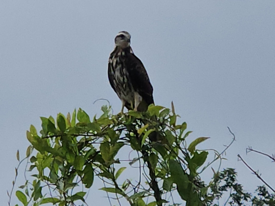 Panama Road Trips-巴拿马城必去景点