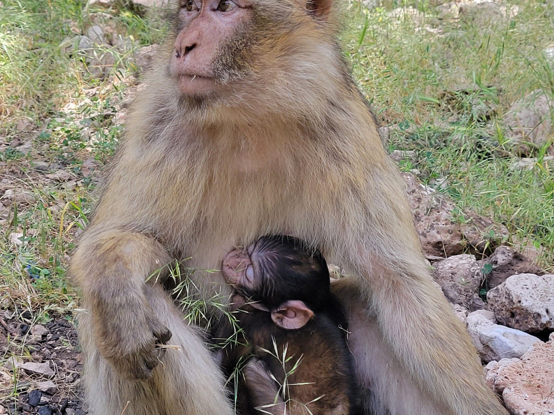 Morocco Easy Tours - Morocco Tours-马拉喀什必去景点