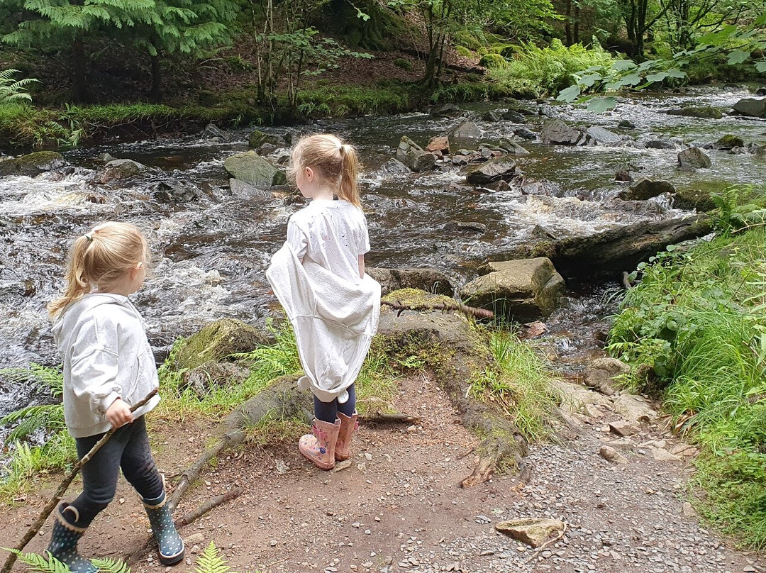 Stanley Ghyll Force Waterfall-Eskdale必去景点