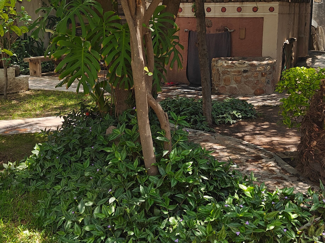 Temazcal Tonatiu Iquzayampa-null必去景点