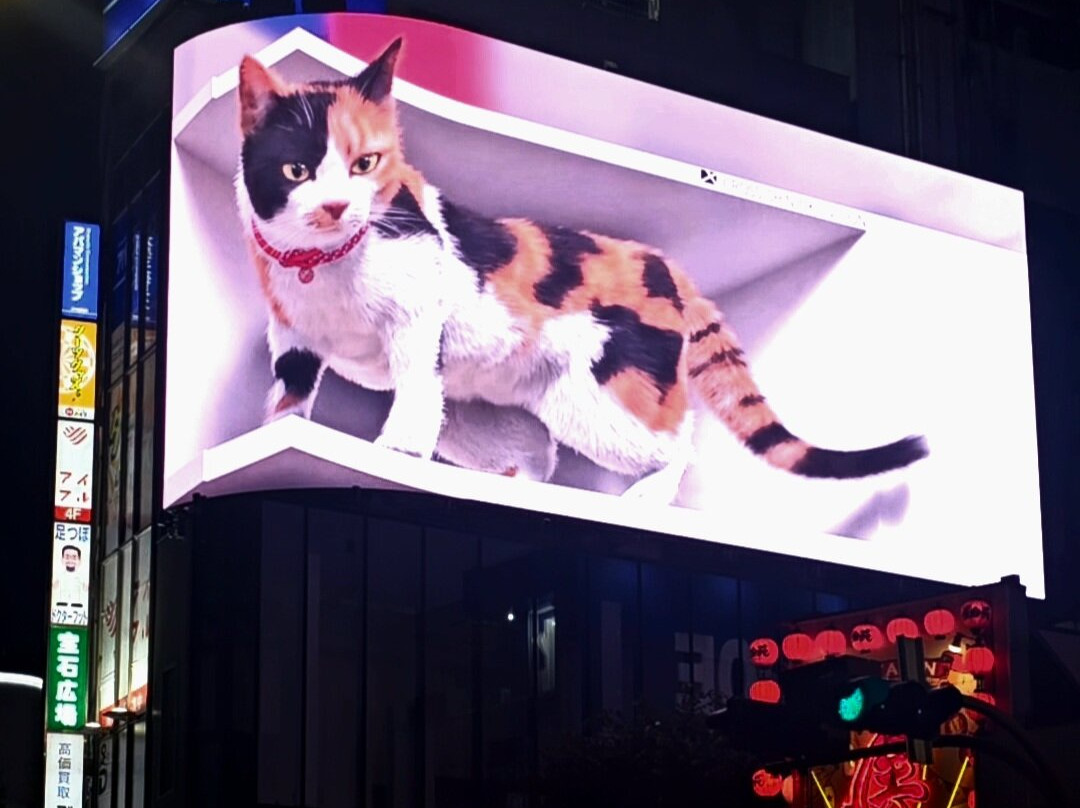 Giant 3d Cat Display Billboard-Shinjuku 3 Chome必去景点