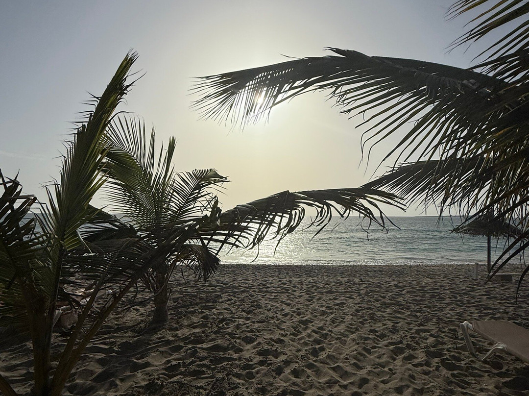 Praia Das Dunas-Rabil必去景点