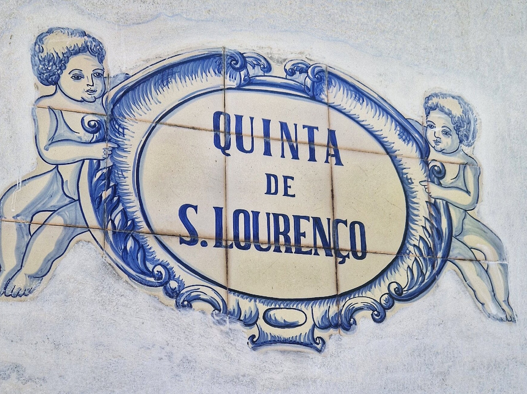 Quinta De S. Lourenco主图