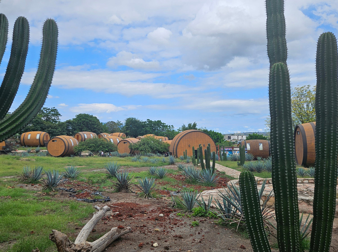 Matices Hotel de Barricas主图