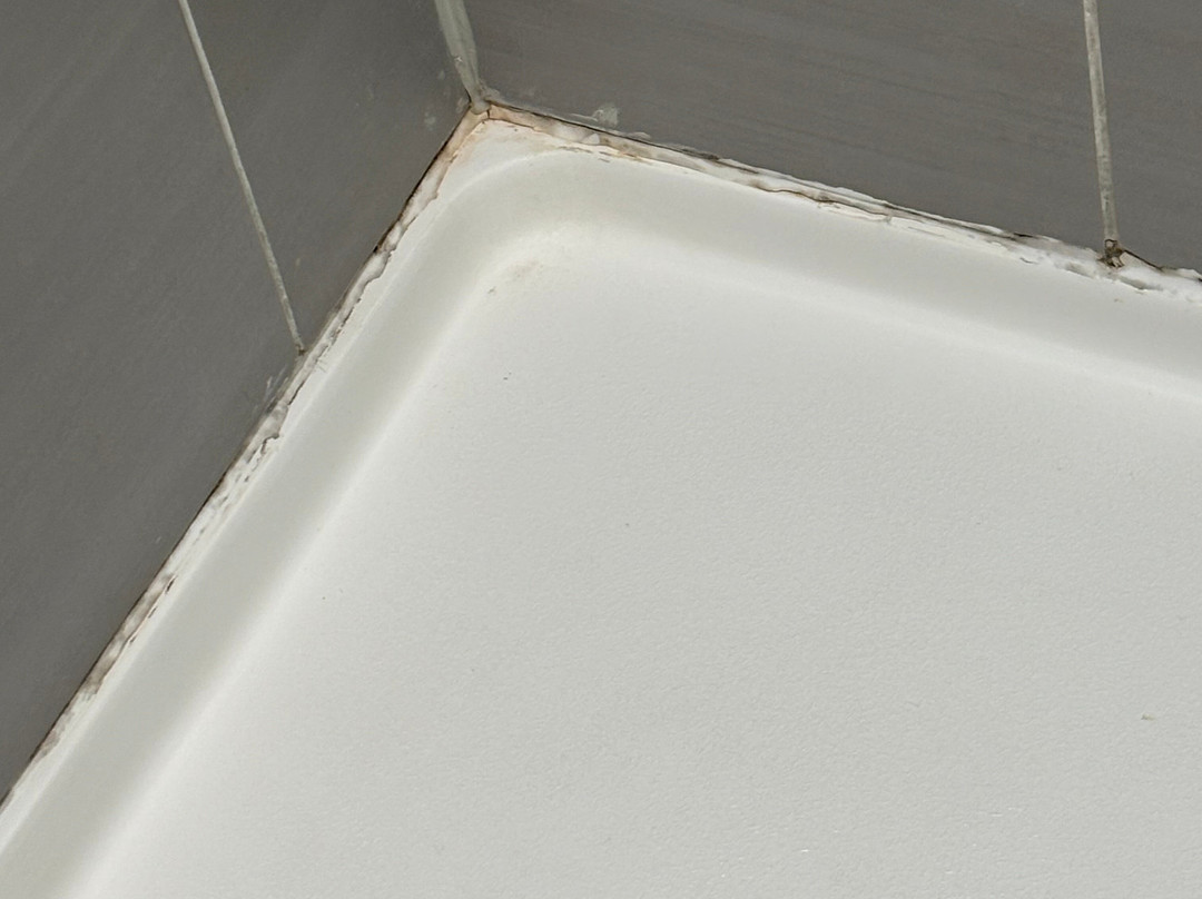 奥尔巴尼万豪酒店主图