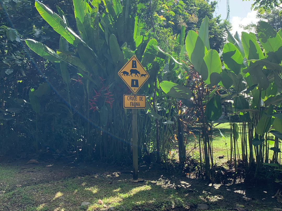 Osa Conservation Campus-希门尼斯港必去景点