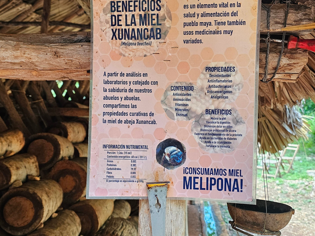 Meliponario "u Naajil Yuum K'iin"-Mani必去景点