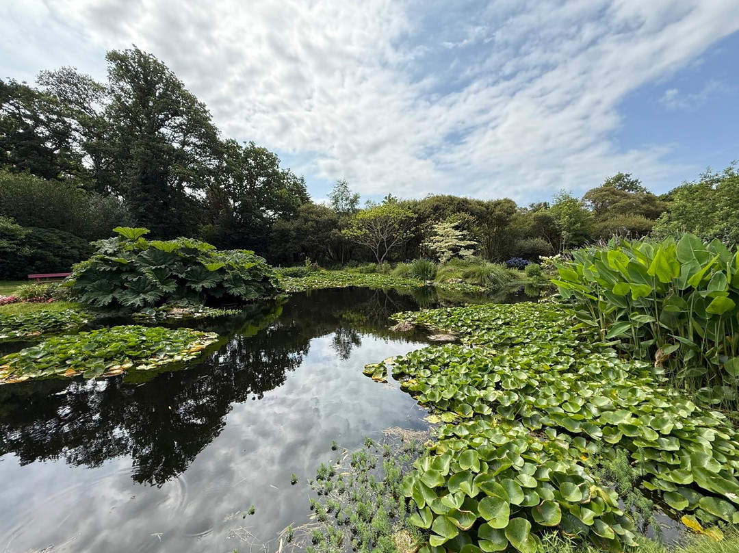 Parc Botanique de Cornouaille-孔布里必去景点
