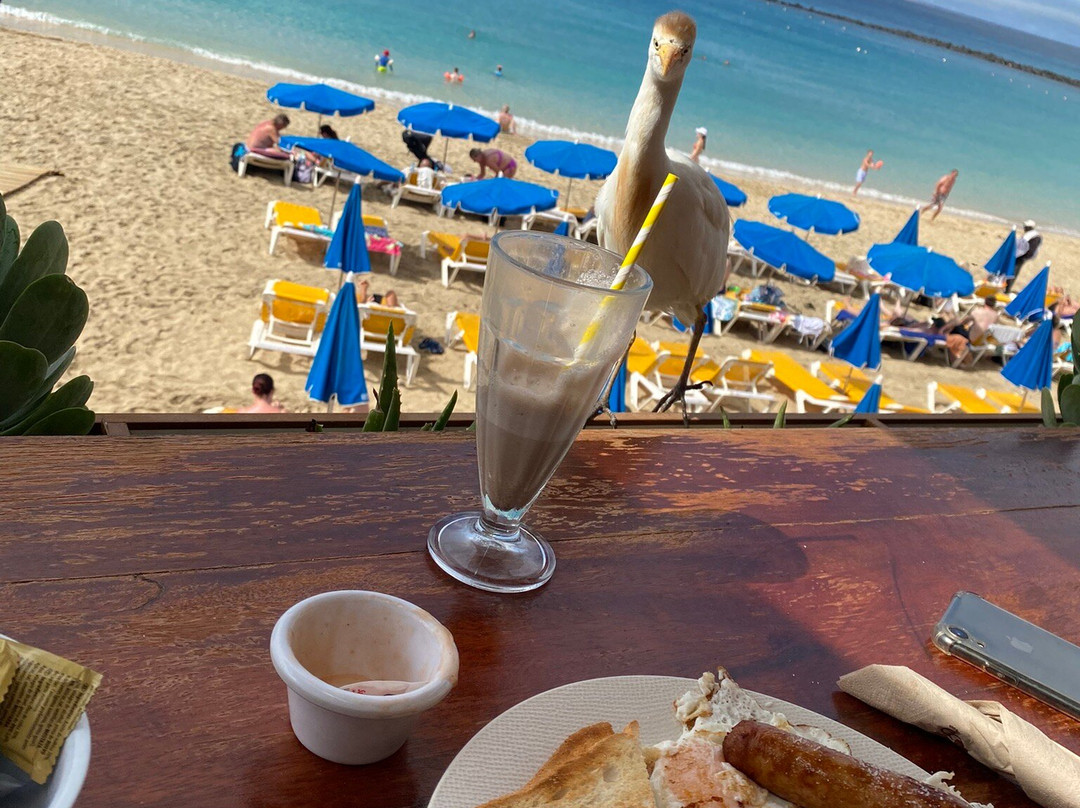 Playa Dorada-布兰卡滩必去景点