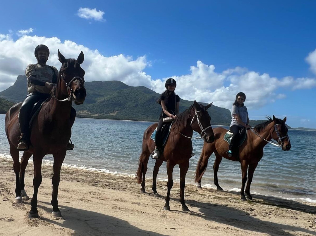 Haras Du Morne-莫纳山必去景点