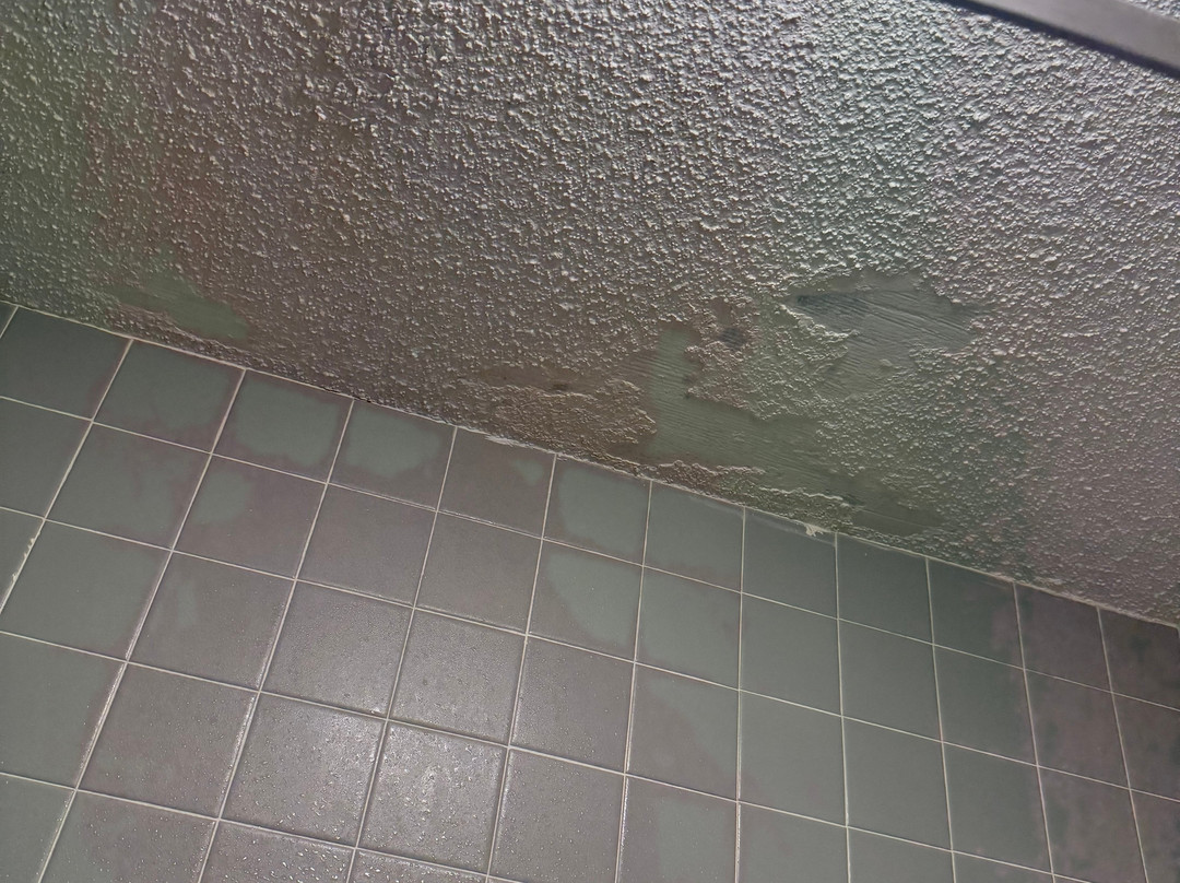 维瑟维尔华美达酒店主图