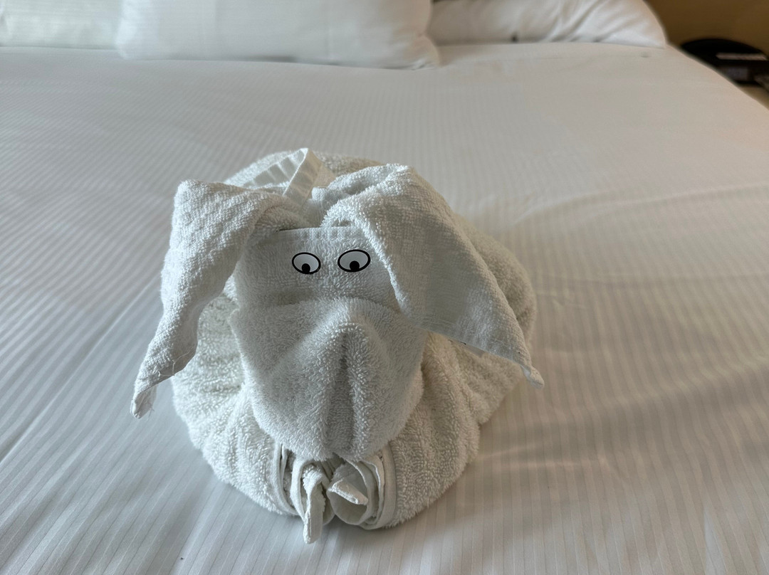 卡尔斯巴德海端度假村主图