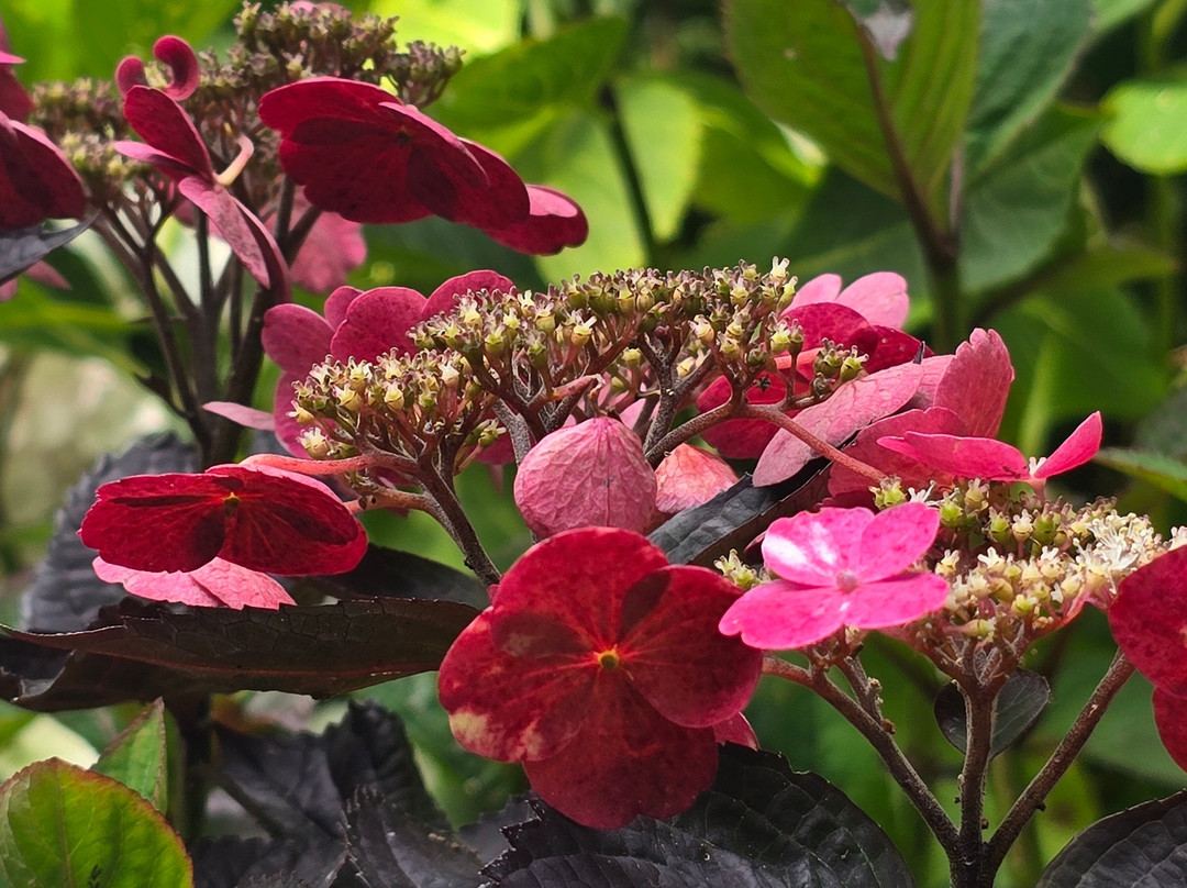 Jardin Shamrock-Varengeville-sur-Mer必去景点