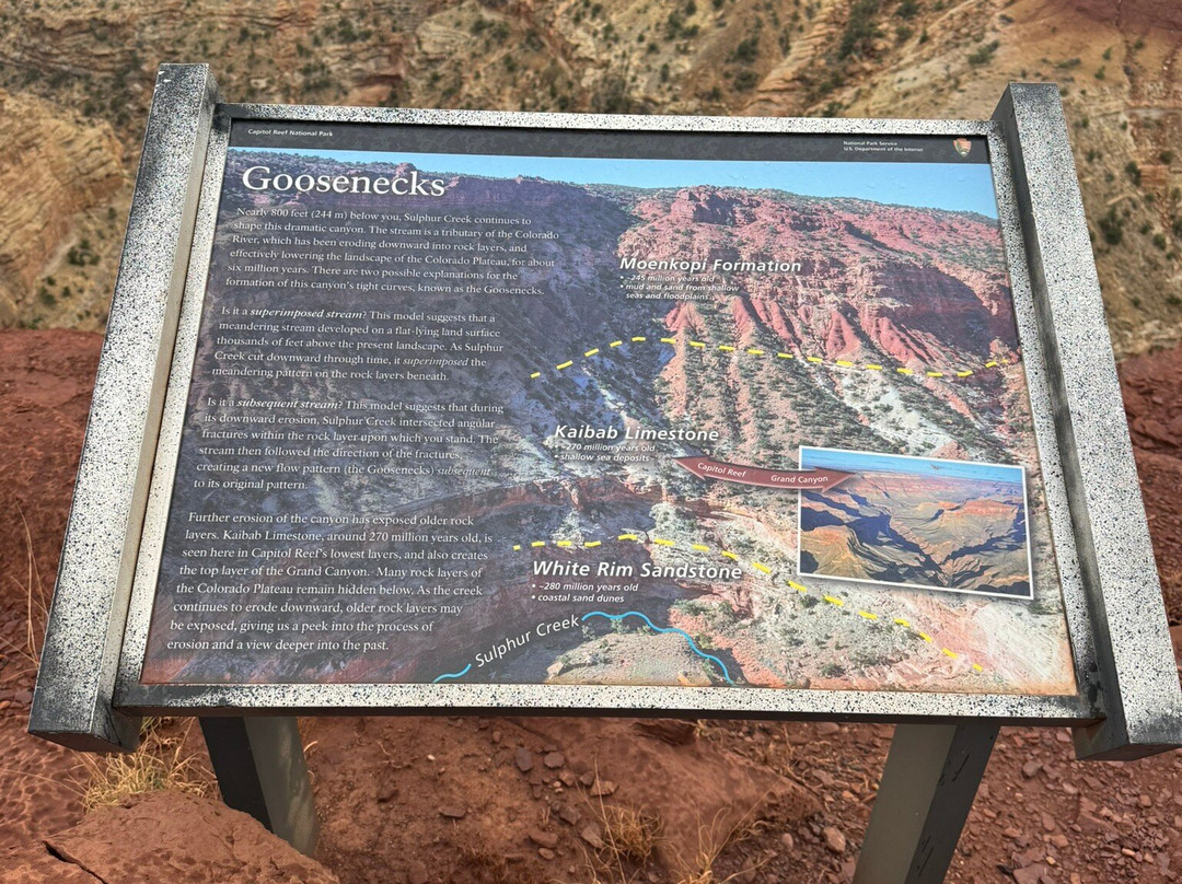 Goosenecks Overlook-圆顶礁国家公园必去景点