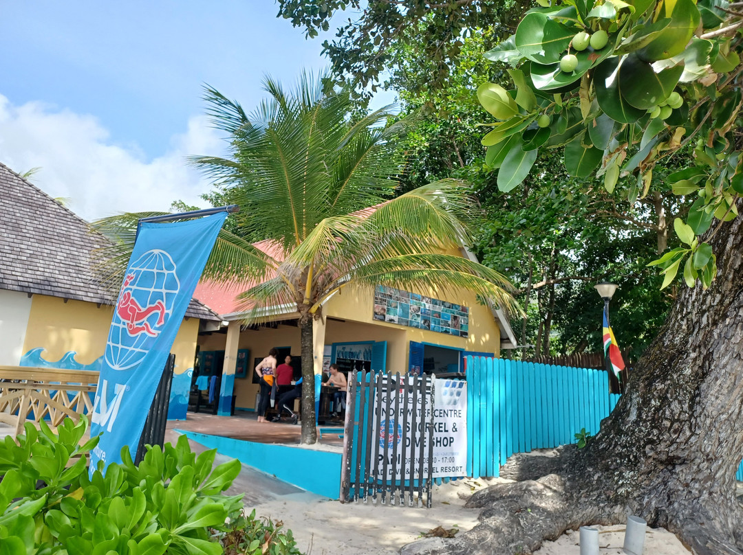 Dive Seychelles Underwater Centre-博瓦隆必去景点