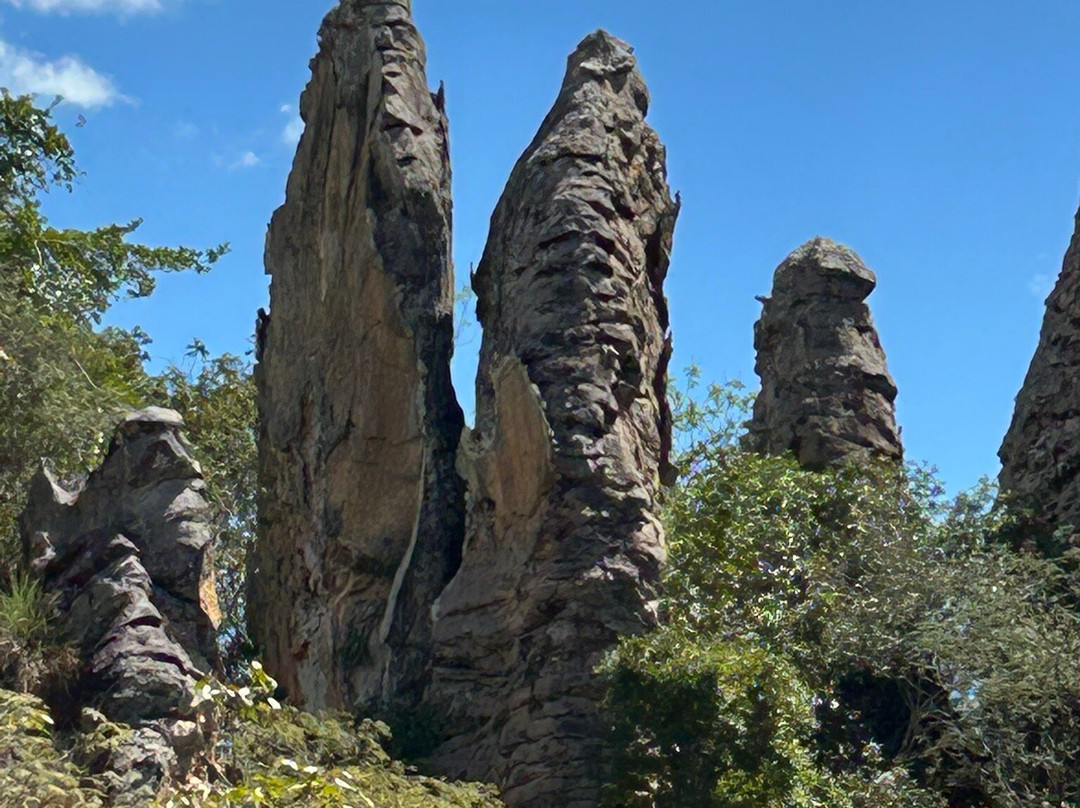 Parque Nacional de Sete Cidades-皮奥伊州必去景点
