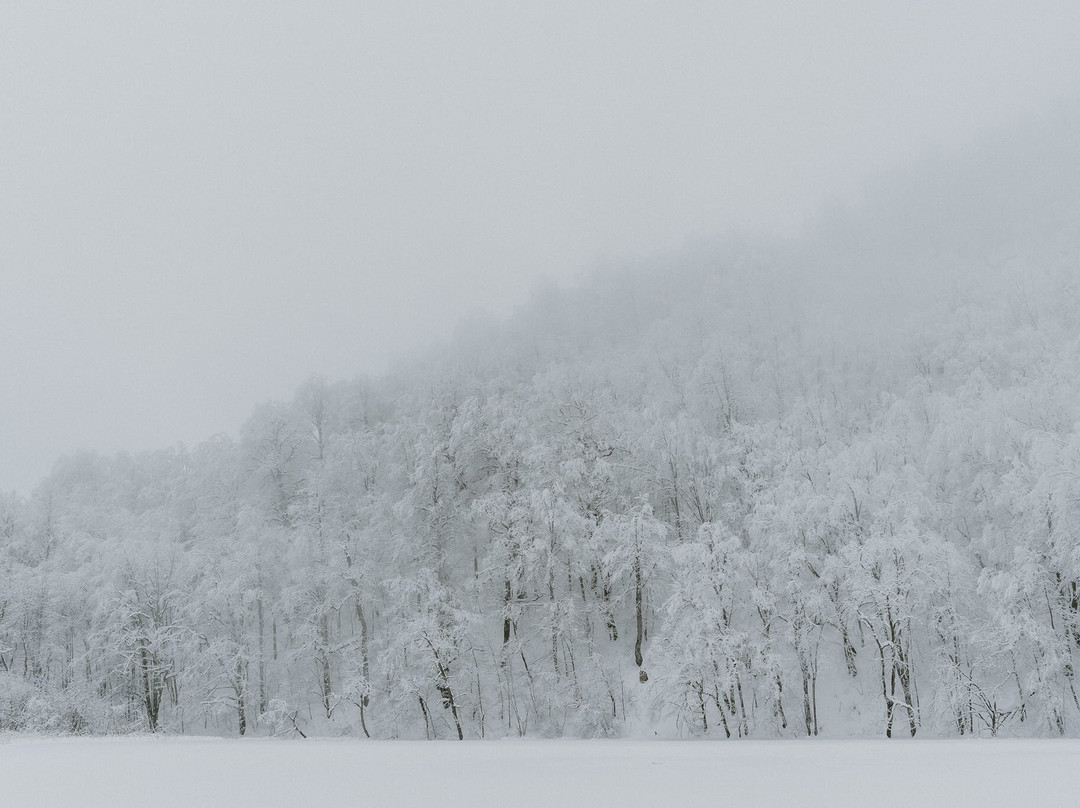 Ambil Lake-Guba-Khachmaz Region必去景点