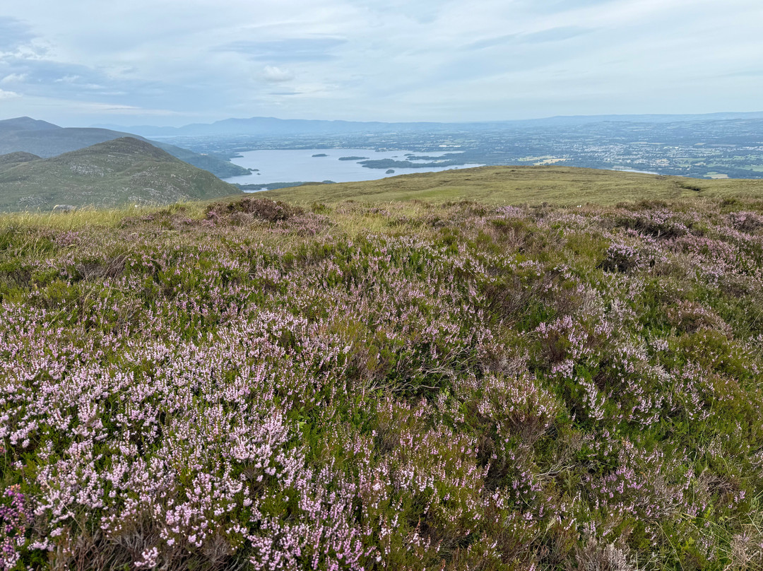 Devil's Punch Bowl-基拉尼必去景点