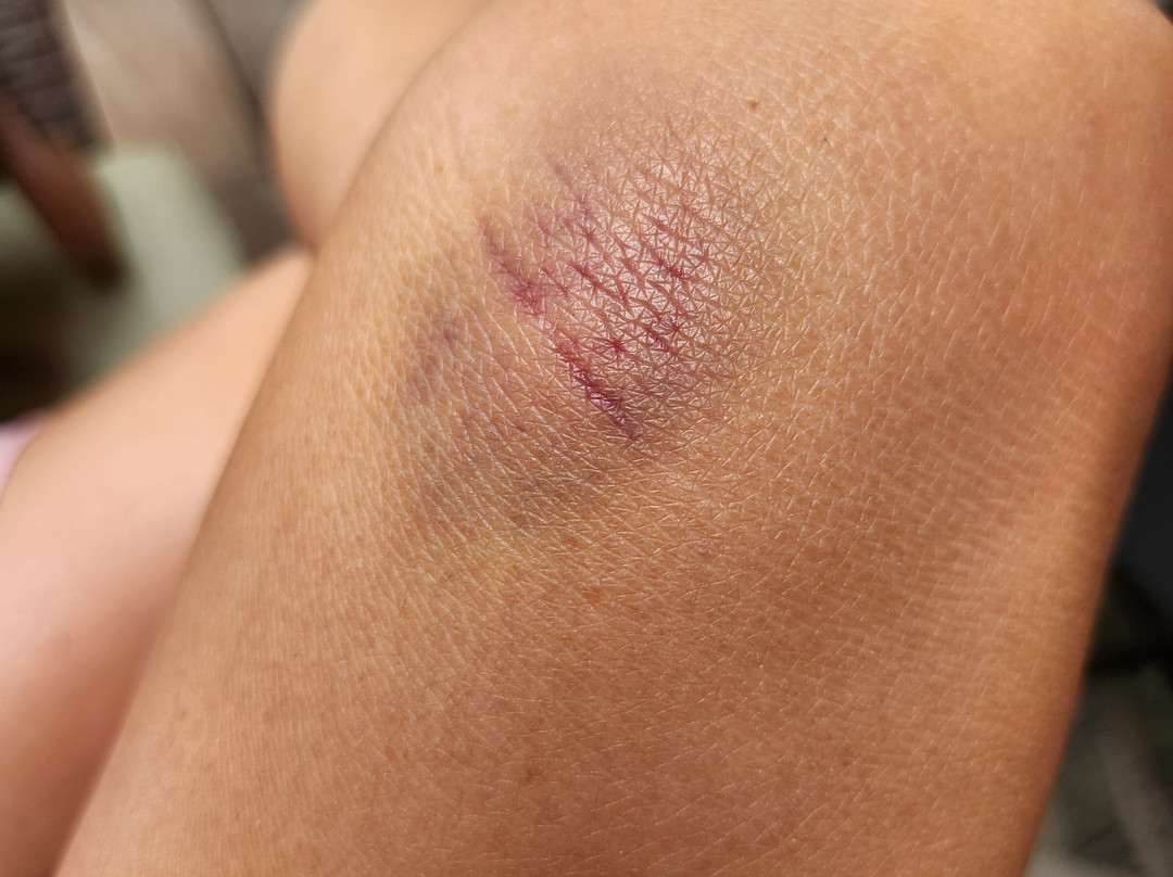 Lezzeno Rent a Boat-莱泽诺必去景点