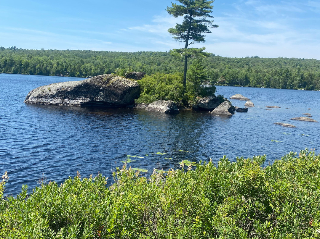 Revolution Rail Co. Jenkins Beach-Dedham必去景点