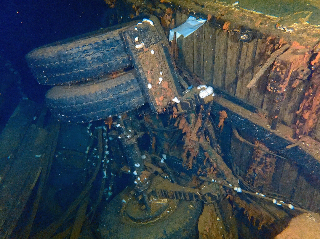 Just Scuba Diving Centre-阿依纳帕必去景点