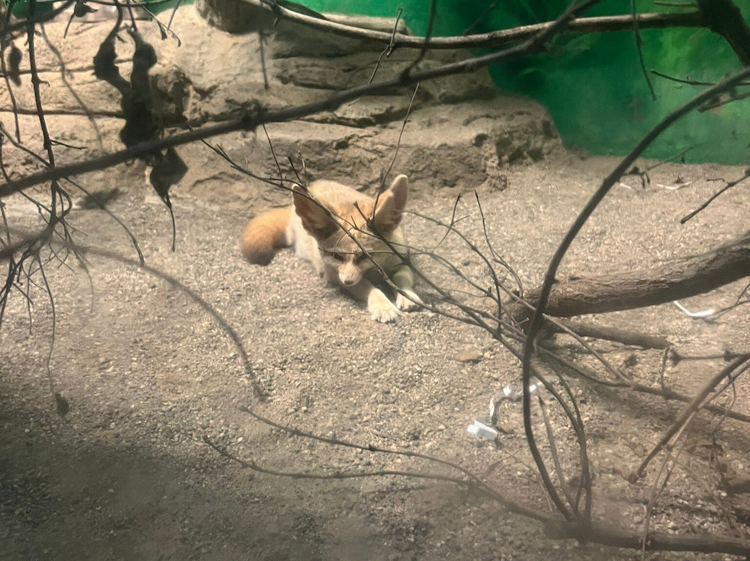 Potawatomi Zoo-南本德必去景点