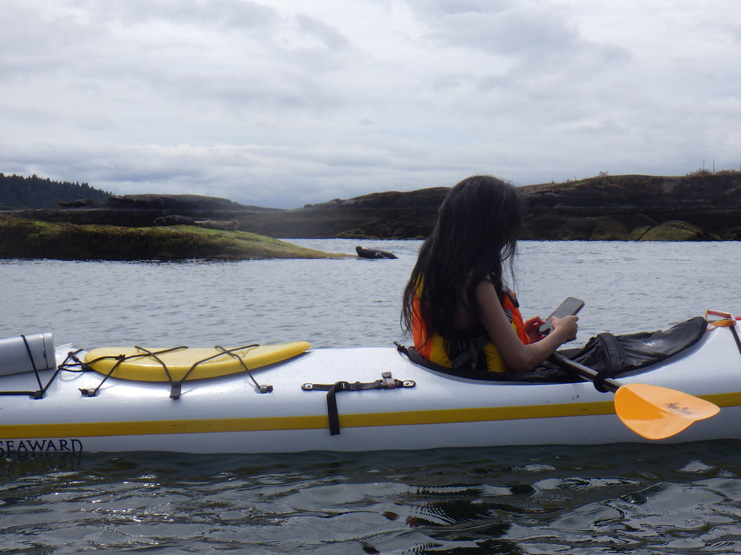 Island Römer Adventures-纳奈莫必去景点