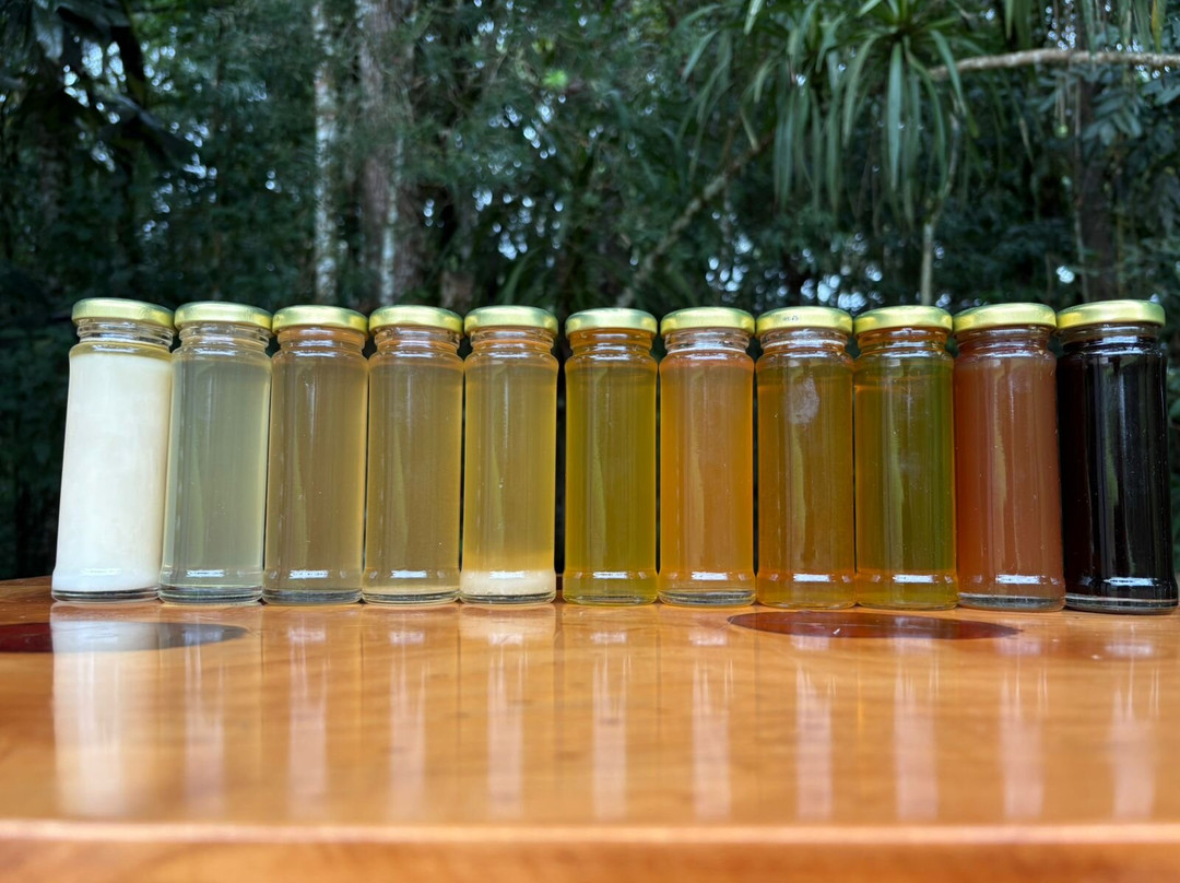 Meliponário Doce Paraíso-Colombo必去景点