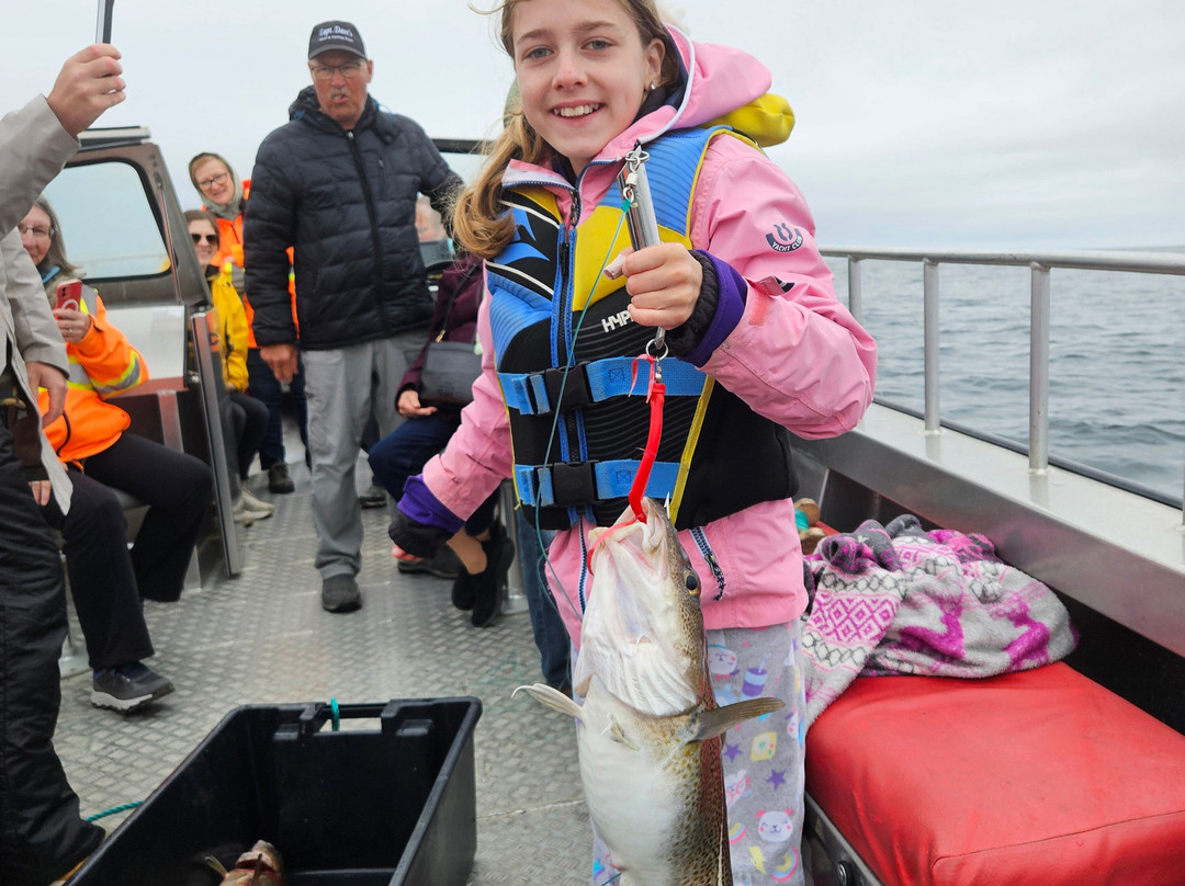 Capt. Dave's Boat Tours-Twillingate必去景点