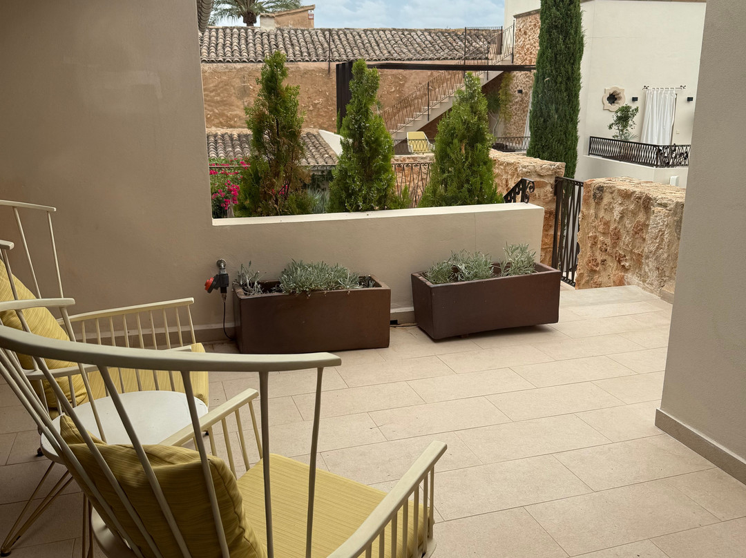 Sa Creu Nova Petit Palais Art & Spa主图