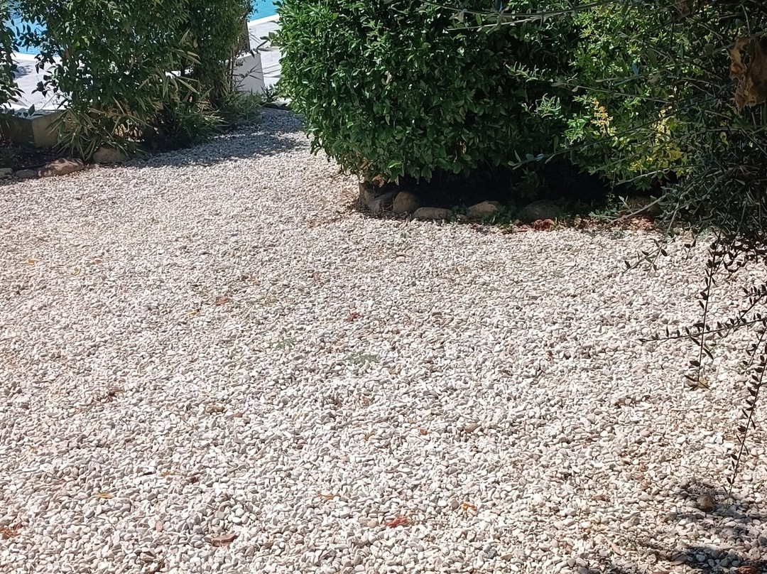 Antica Fattoria del Colle主图