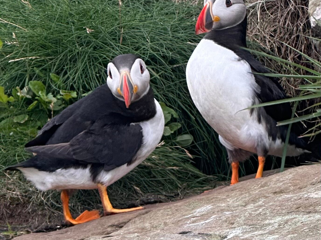 Turus Mara-Dervaig必去景点