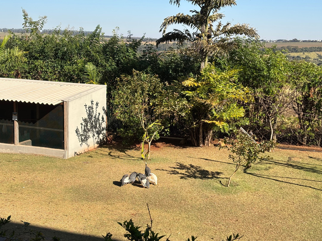 Dan Inn Franca & Convenções主图